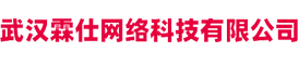 武汉霖仕网络科技有限公司